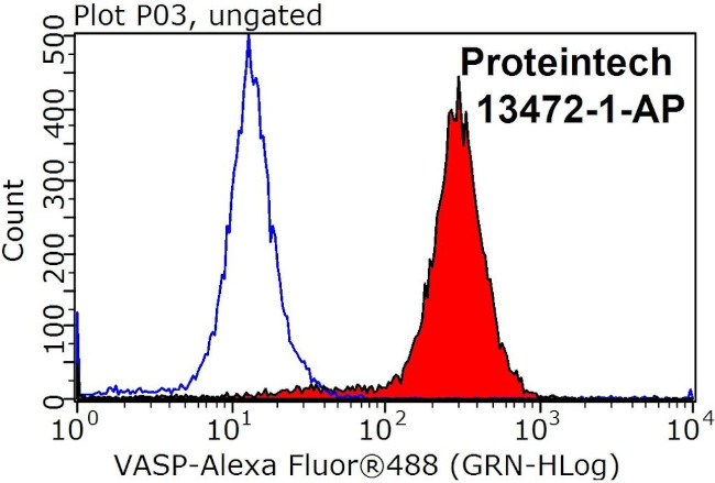 VASP Antibody in Flow Cytometry (Flow)