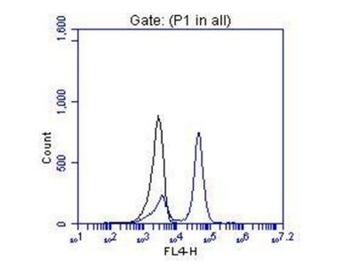 OTX2 Antibody in Flow Cytometry (Flow)