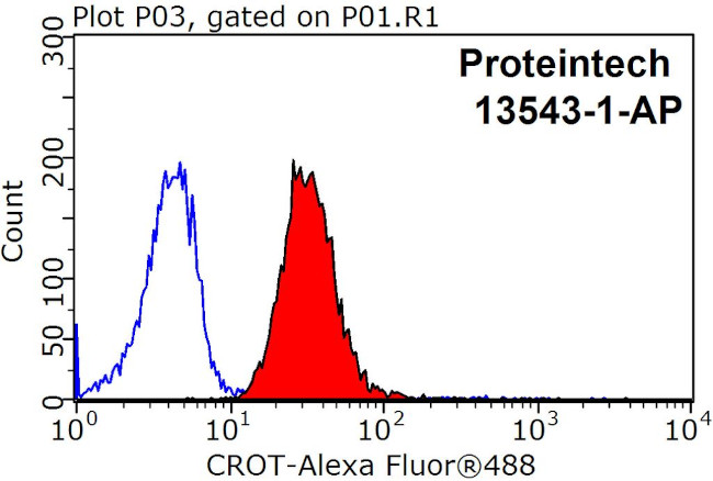 CROT Antibody in Flow Cytometry (Flow)