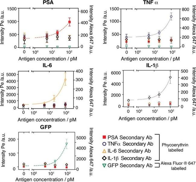 IL-6 Antibody in Peptide array (ARRAY)