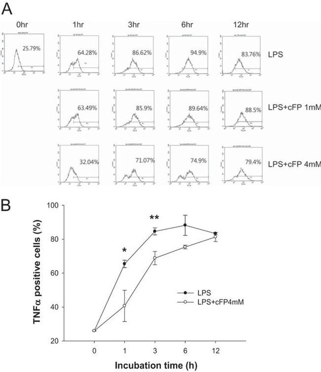 TNF alpha Antibody in Immunocytochemistry, Flow Cytometry (ICC/IF, Flow)