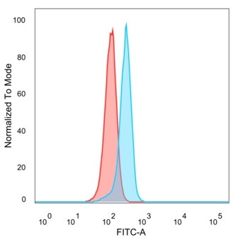 ATF2 Antibody in Flow Cytometry (Flow)