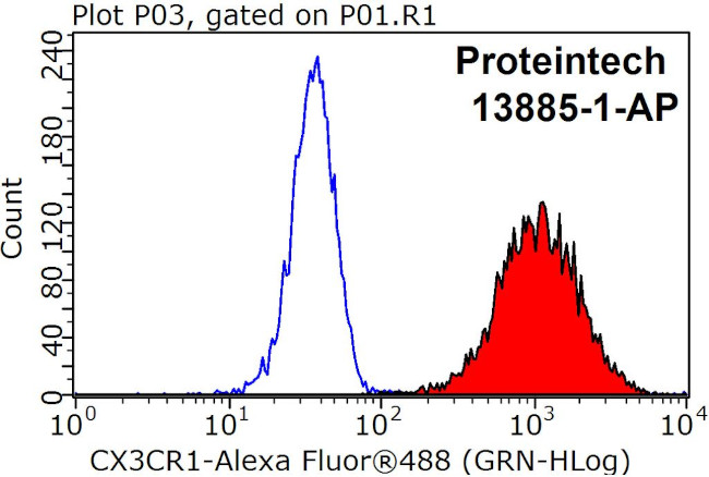 CX3CR1 Antibody in Flow Cytometry (Flow)