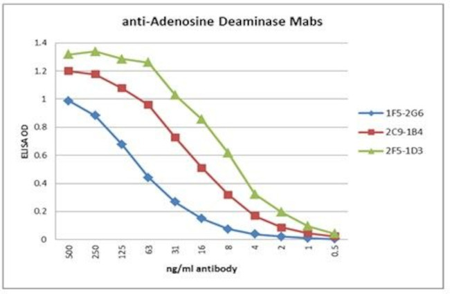 Adenosine deaminase Antibody in ELISA (ELISA)