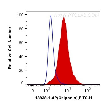 Calponin 1 Antibody in Flow Cytometry (Flow)