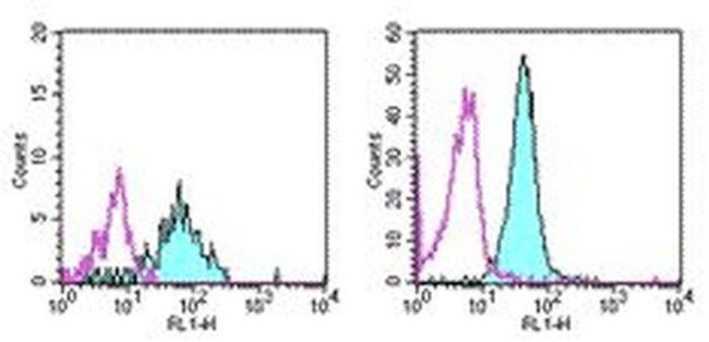 CD13 Antibody in Flow Cytometry (Flow)