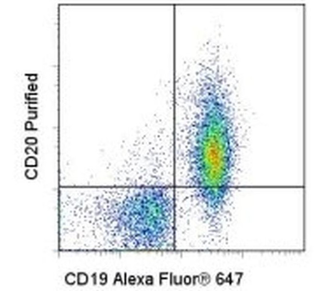 CD20 Antibody in Flow Cytometry (Flow)