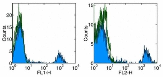 CD20 Antibody in Flow Cytometry (Flow)