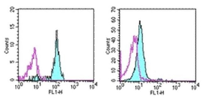 CD33 Antibody in Flow Cytometry (Flow)