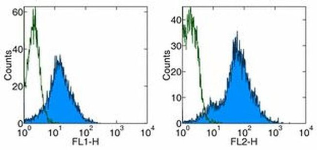 CD54 (ICAM-1) Antibody in Flow Cytometry (Flow)