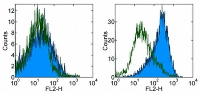 CD83 Antibody in Flow Cytometry (Flow)