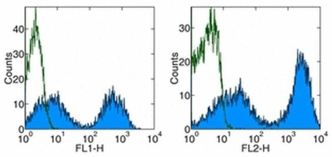 MHC Class II Antibody in Flow Cytometry (Flow)