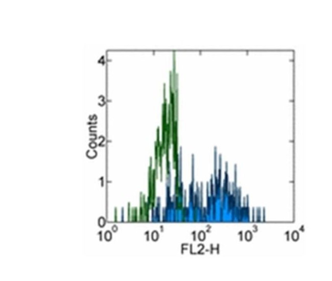 CD93 (AA4.1) Antibody in Flow Cytometry (Flow)