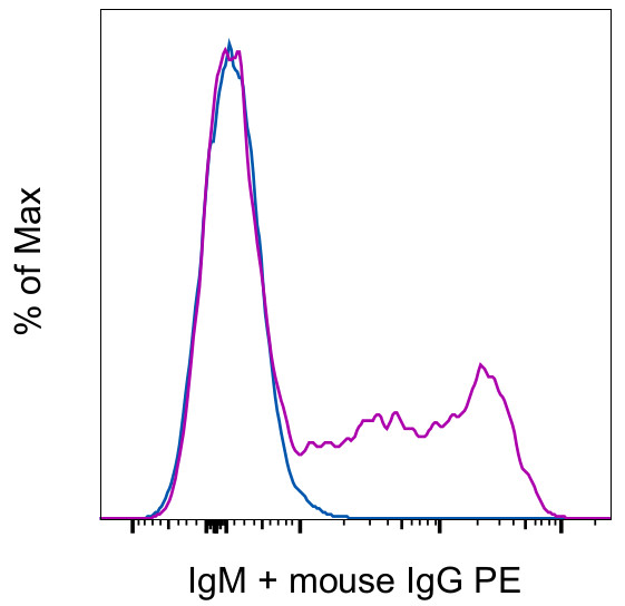 IgM Antibody in Flow Cytometry (Flow)