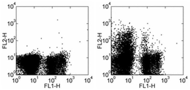 CD117 (c-Kit) Antibody in Flow Cytometry (Flow)