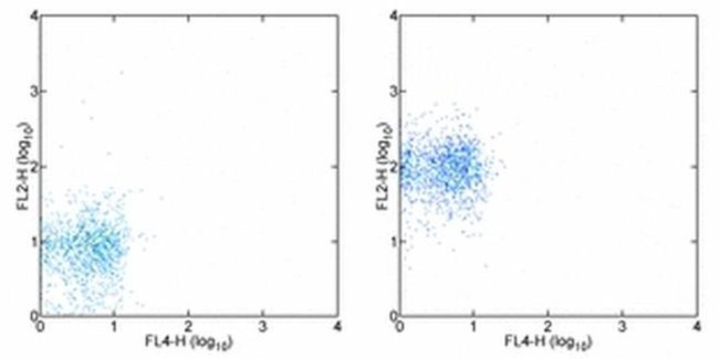 CD182 (CXCR2) Antibody in Flow Cytometry (Flow)