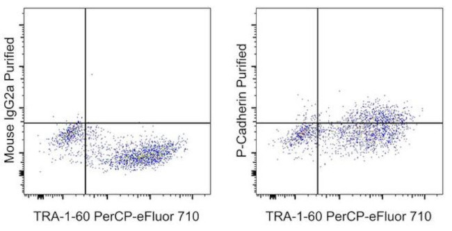 P-Cadherin Antibody in Flow Cytometry (Flow)