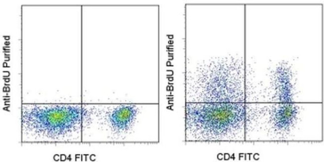 BrdU Antibody in Flow Cytometry (Flow)