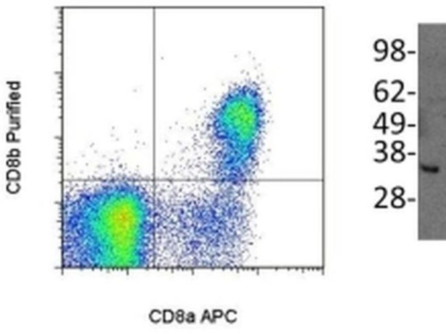 CD8b Antibody in Flow Cytometry (Flow)