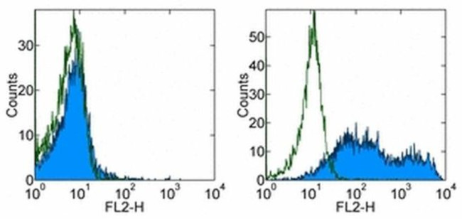 GL7 Antibody in Flow Cytometry (Flow)