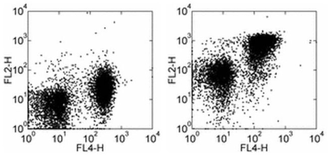 CD272 (BTLA) Antibody in Flow Cytometry (Flow)