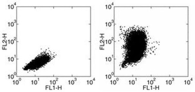 CCL2 (MCP-1) Antibody in Flow Cytometry (Flow)