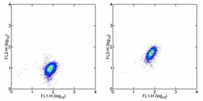 c-Met Antibody in Flow Cytometry (Flow)