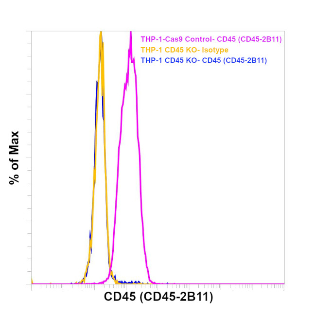 CD45 Antibody