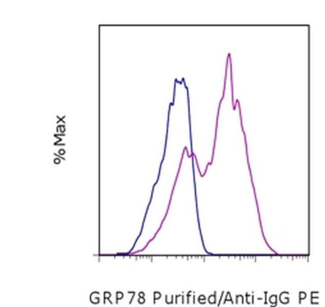 GRP78 Antibody in Flow Cytometry (Flow)