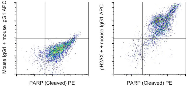 Phospho-Histone H2A.X (Ser139) Antibody in Flow Cytometry (Flow)