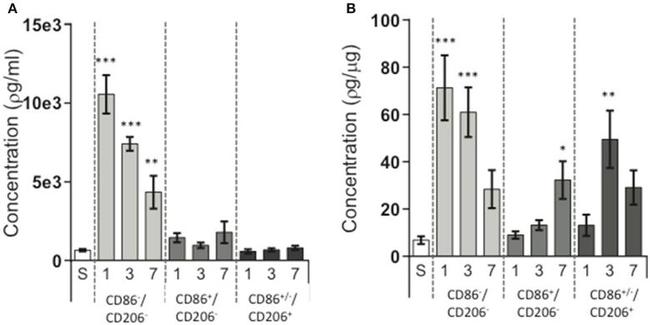 CD86 (B7-2) Antibody in Flow Cytometry (Flow)