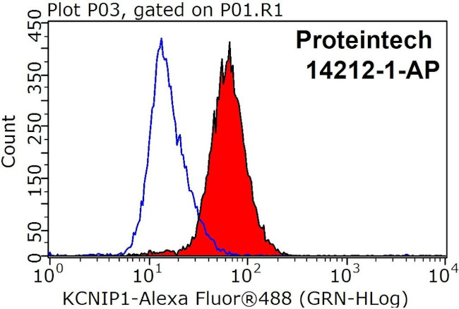 KChIP1 Antibody in Flow Cytometry (Flow)