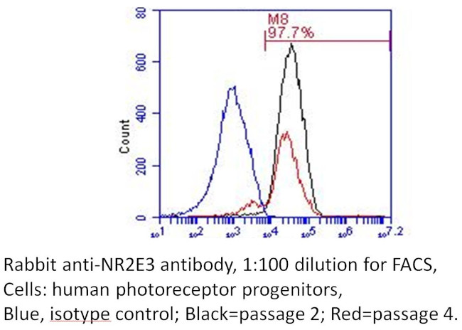 NR2E3 Antibody in Flow Cytometry (Flow)