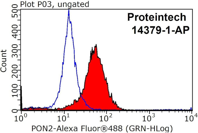 PON2 Antibody in Flow Cytometry (Flow)