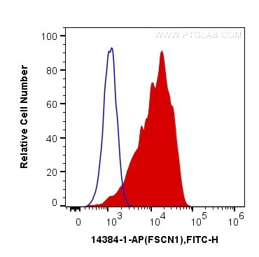 Fascin Antibody in Flow Cytometry (Flow)