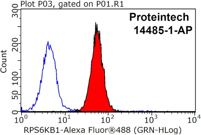 p70(S6K) Antibody in Flow Cytometry (Flow)