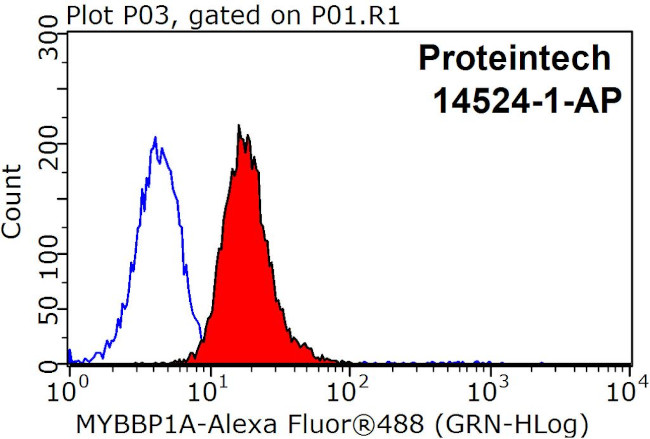 MYBBP1A Antibody in Flow Cytometry (Flow)