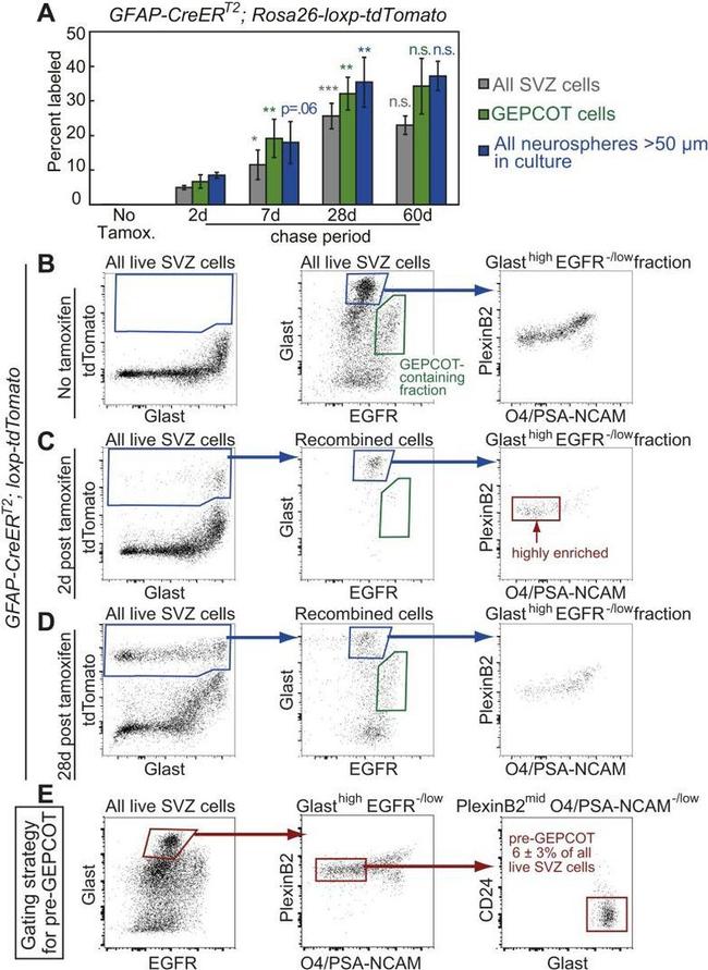 Plexin-B2 Antibody in Flow Cytometry (Flow)