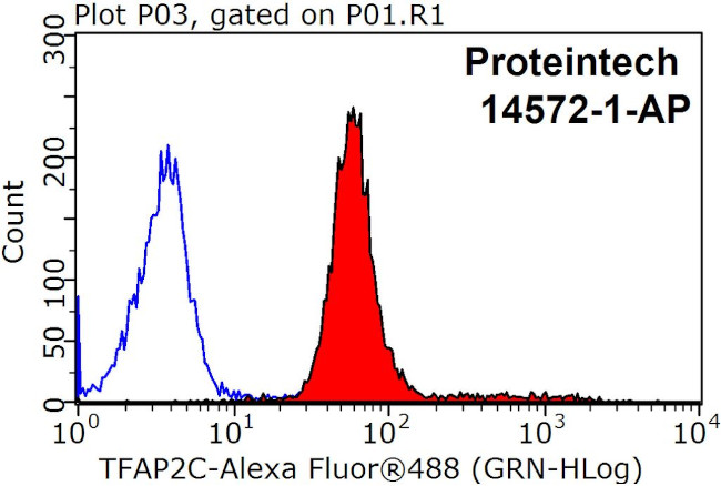 TFAP2C Antibody in Flow Cytometry (Flow)