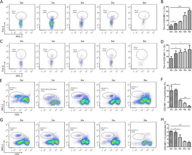 CD366 (TIM3) Antibody in Flow Cytometry (Flow)