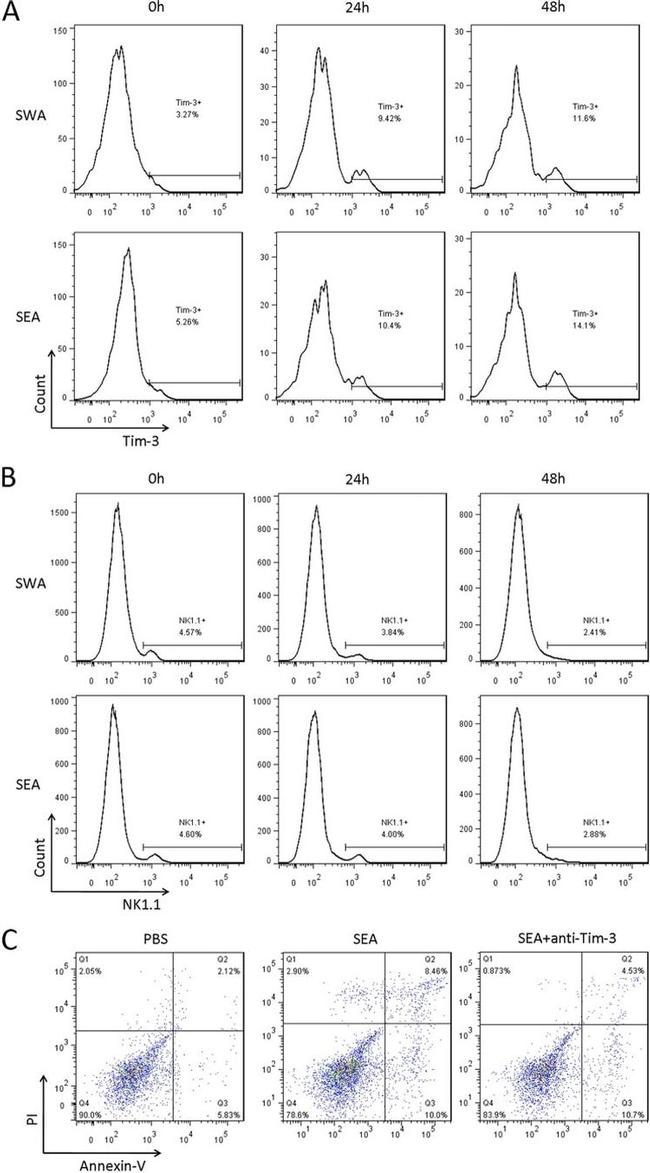 CD366 (TIM3) Antibody in Flow Cytometry (Flow)