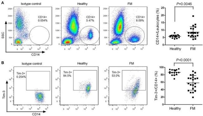 CD366 (TIM3) Antibody in Flow Cytometry (Flow)