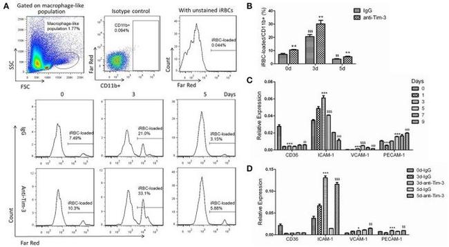 CD366 (TIM3) Antibody in Flow Cytometry, Neutralization (Flow, Neu)