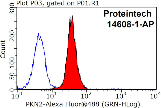PKN2 Antibody in Flow Cytometry (Flow)