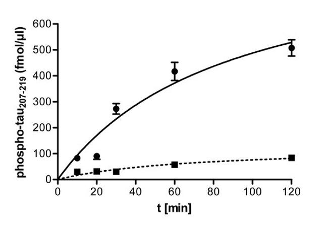 Phospho-Tau (Thr212) Antibody in ELISA (ELISA)