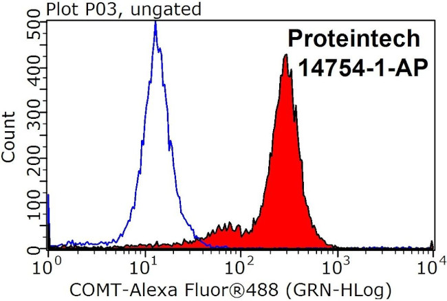 COMT Antibody in Flow Cytometry (Flow)