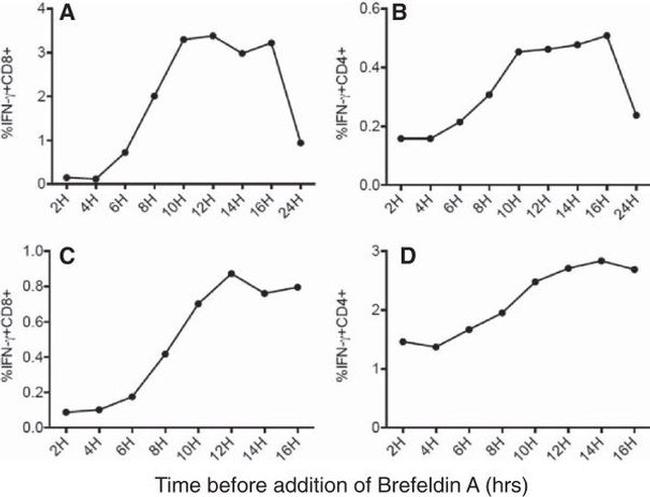 CD4 Antibody in Flow Cytometry (Flow)