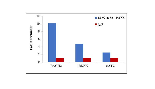 PAX5 Antibody in ChIP Assay (ChIP)