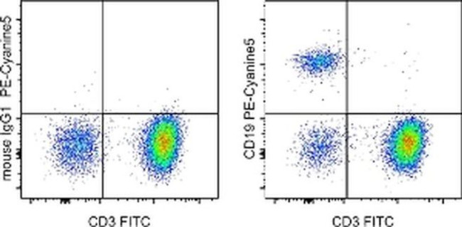 CD19 Antibody in Flow Cytometry (Flow)