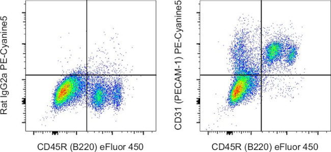 CD31 (PECAM-1) Antibody in Flow Cytometry (Flow)